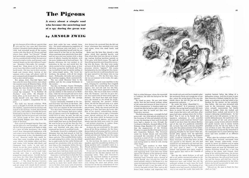 The Pigeons