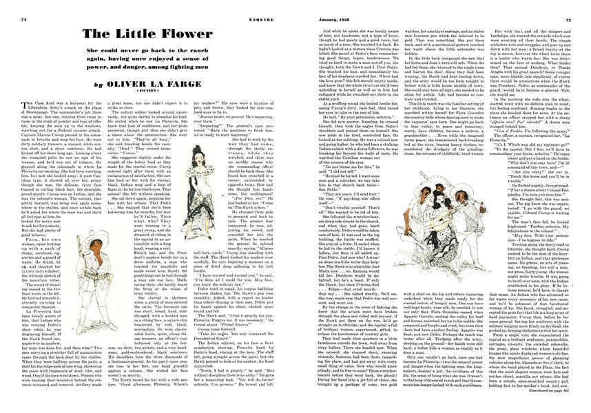 The Little Flower