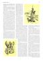 Page: - 71 | Esquire