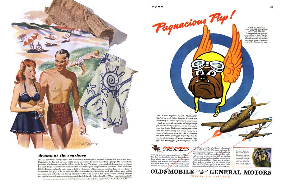 Drama at the Seashore