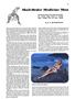 Page: - 61 | Esquire