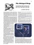 Page: - 67 | Esquire