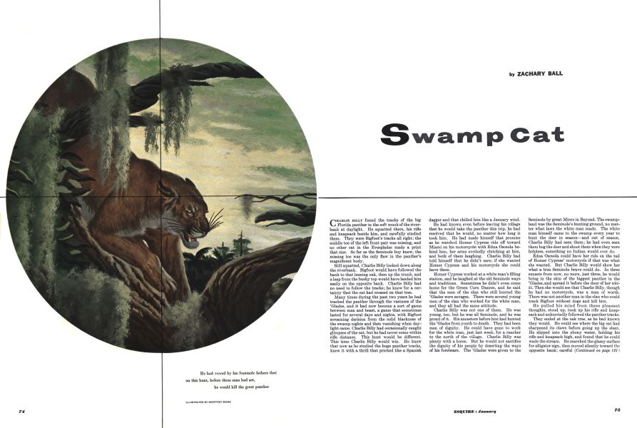 Swamp Cat