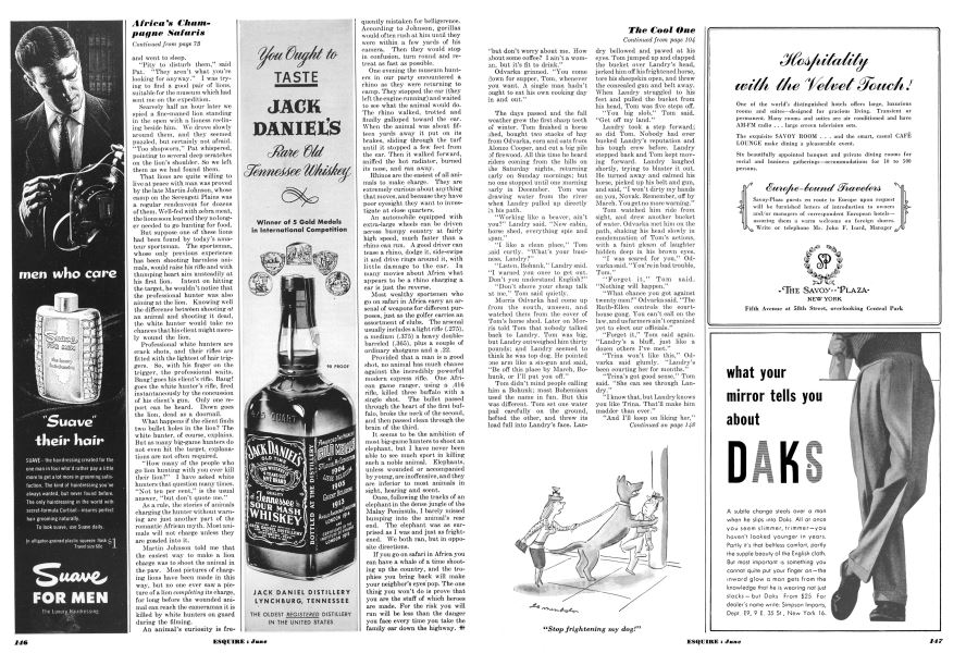 “Stop Frightening My Dog!”