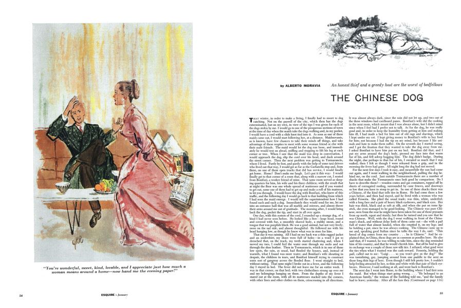 The Chinese Dog