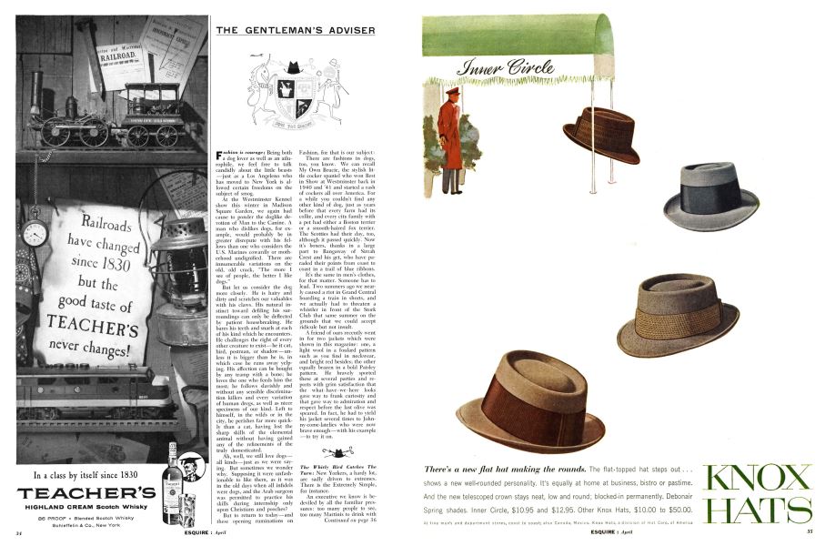 THE GENTLEMAN’S ADVISER