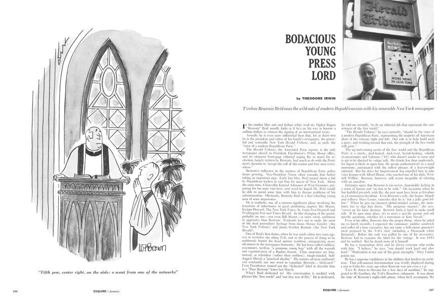 Bodacious Young Press Lord