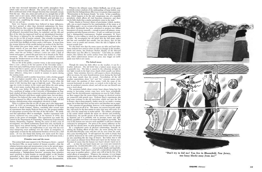 “Don’t try to kid me! You live in Bloomfield, New Jersey, two lousy blocks away from me!”