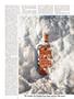 Page: - 25 | Esquire