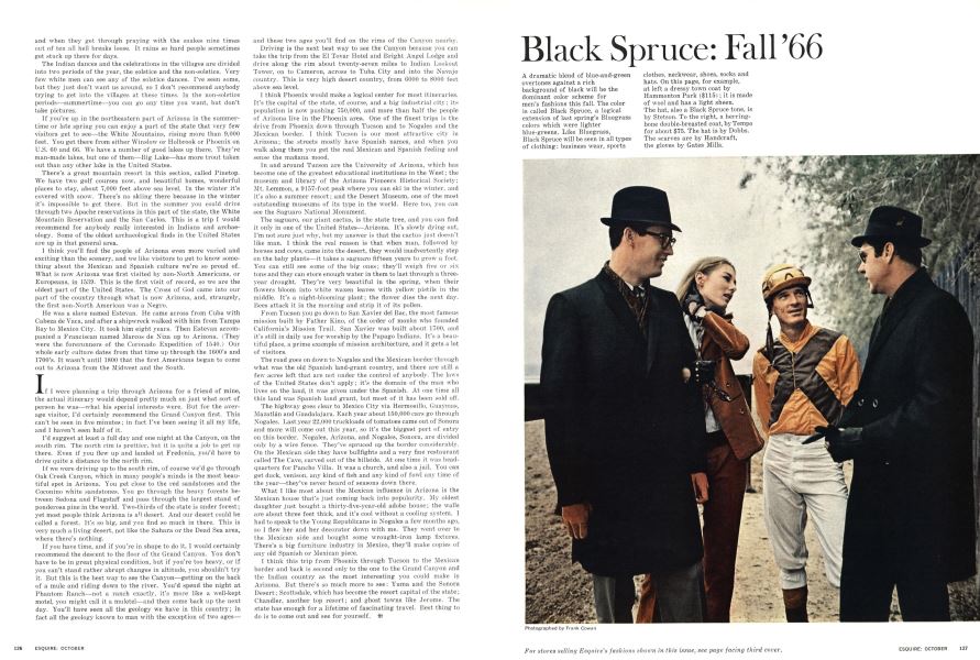 Black Spruce: Fall’66