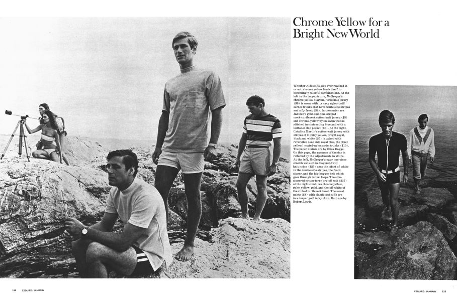 Chrome Yellow for a Bright New World Esquire JANUARY 1968