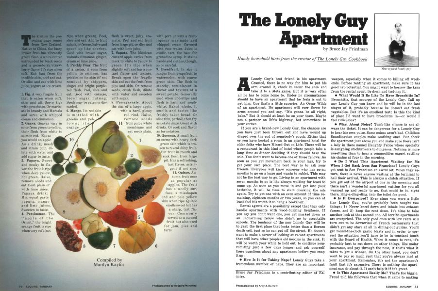 The Lonely Guy Apartment