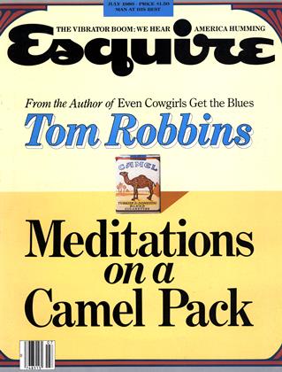 Meditations On A Camel Pack Esquire July 1980
