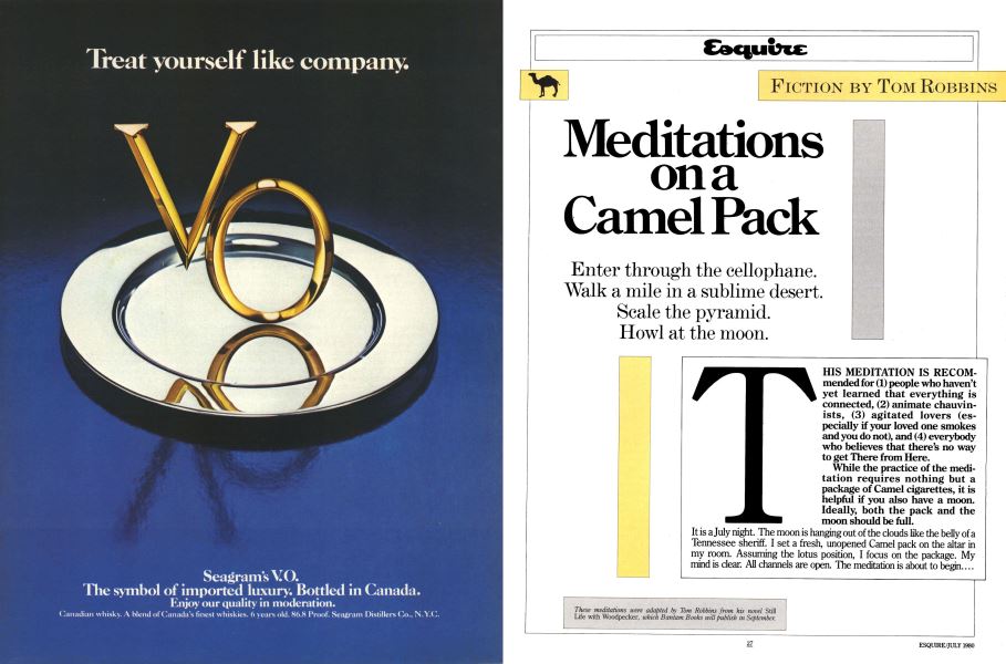 Meditations On A Camel Pack Esquire July 1980