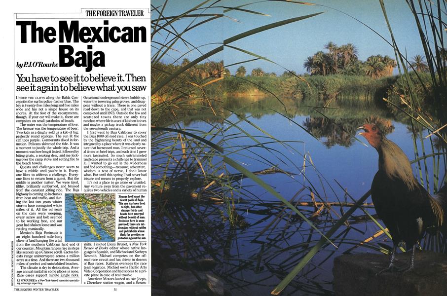 The Mexican Baja Esquire October 1984