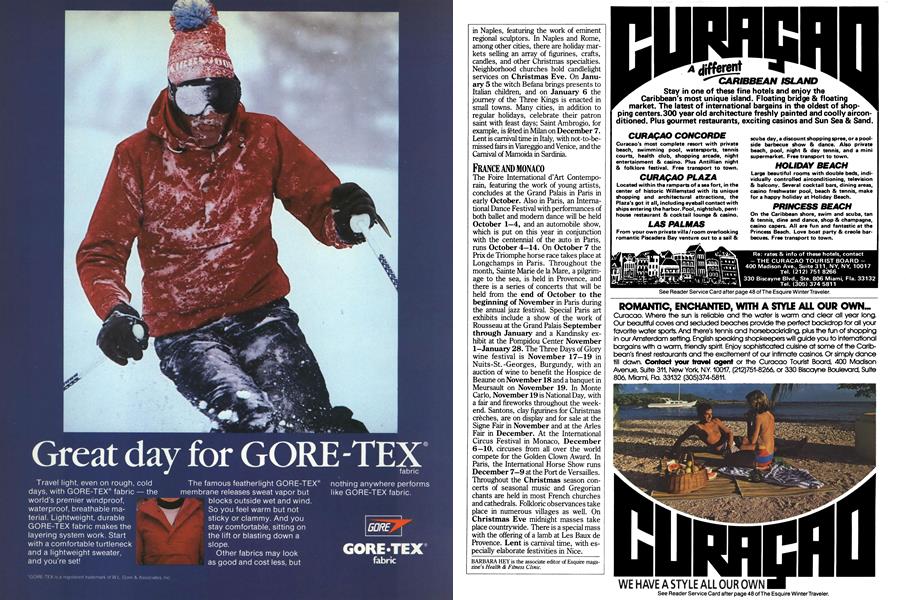 W.l. Gore & Associates, Inc.: Gore-tex 