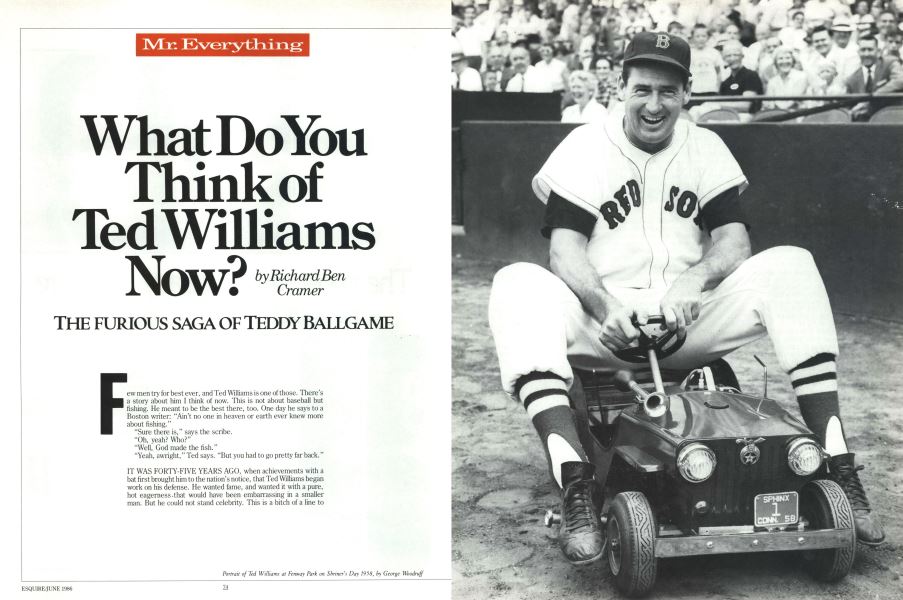  What Do You Think of Ted Williams Now?: A Remembrance:  9781451643404: Cramer, Richard Ben Ben: Books