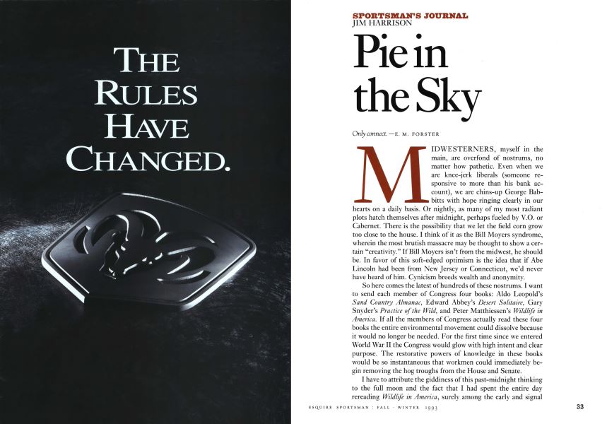 Pie in the Sky Esquire FALL/WINTER 1993