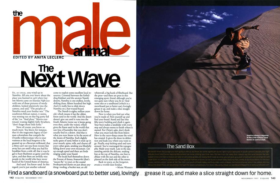 The Next Wave