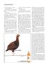 Page: - 74 | Esquire