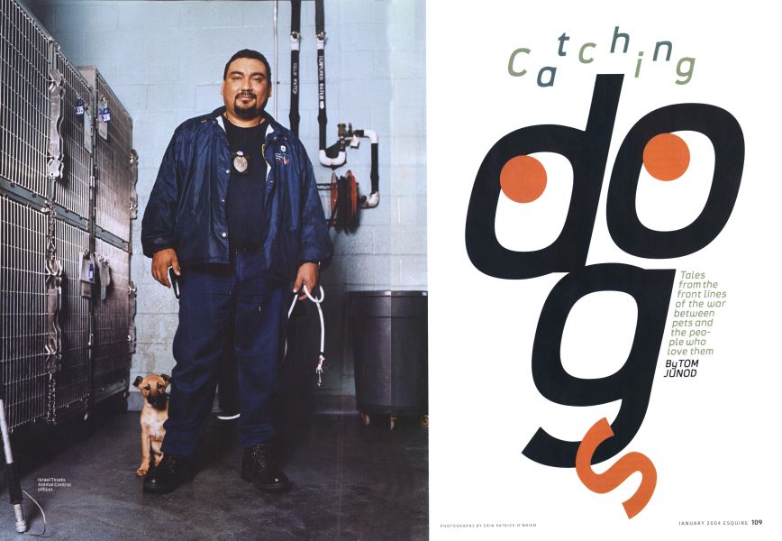 Catching Dogs