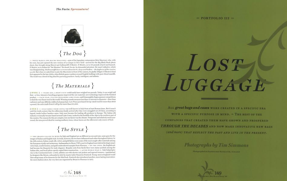 lost luggage portfolio